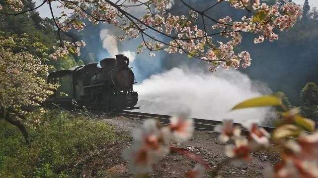 20190430101017265