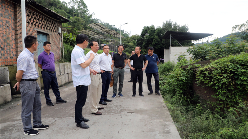 20190726104105331